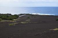 Fast wie auf den Mond, aber erste Pionierpflanzen bahnen sich ihren Weg