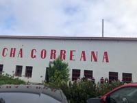 Azoren Sao Miguel Teefabrik Cha Gorreana