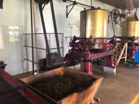 Azoren Sao Miguel Teefabrik Cha Gorreana