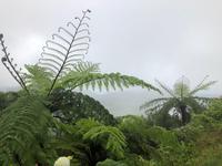 Azoren Sao Miguel Aussichtspunkt im Nebel