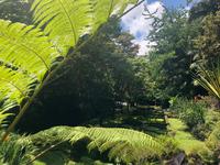 Park Terra Nostra Azoren Sao Miguel
