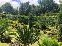 Park Terra Nostra Azoren Sao Miguel