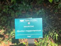 E2D6909F-656C-4D4A-A2B4-E4CC09880AE7