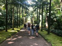 Park Terra Nostra Azoren Sao Miguel