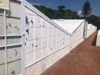 Azoren Sao Miguel Ananasplantage