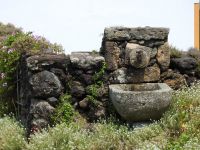 Terceira Azoren Weinprobe