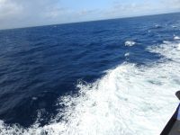 Azoren Fährüberfahrt Pico - Faial