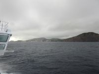 Azoren Fährüberfahrt Pico - Faial