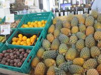 Ponta Delgada: Markthalle