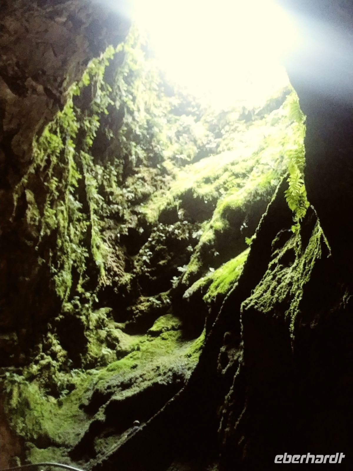 Terceira: Algar do Carvao/Vulkanschlot