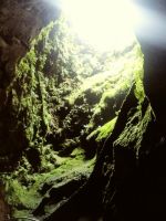 Terceira: Algar do Carvao/Vulkanschlot