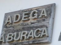 Pico: Weinverkostung