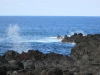 Lajido de Santa Cruz