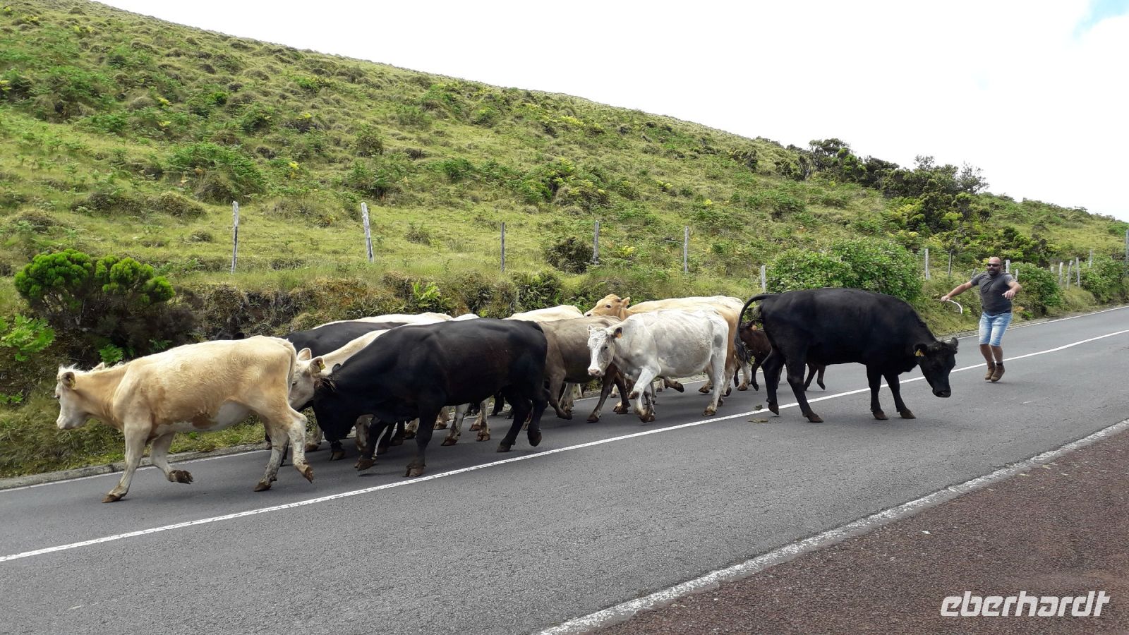 Straßenszene auf Pico