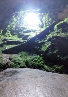 Die Vulkanhöhle Algar do Carvao