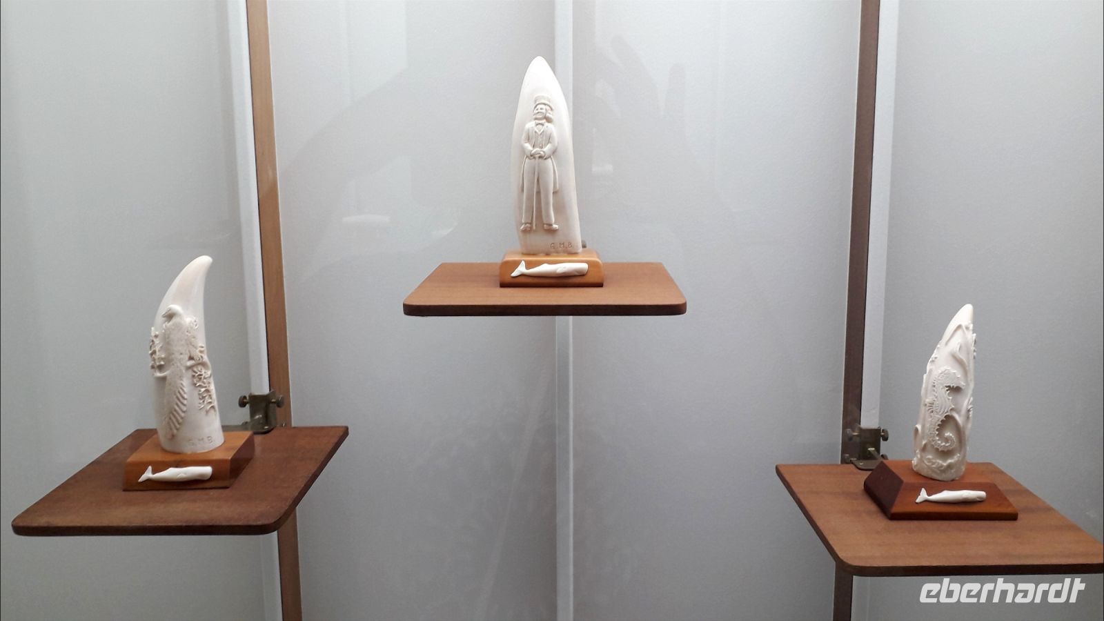 Die geschnitzten Pottwalzähne im Walfangmuseum