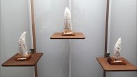 Die geschnitzten Pottwalzähne im Walfangmuseum