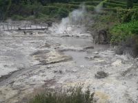 Sao Miguel - Am Lagoa das Furnas