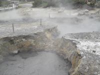 Sao Miguel - Heiße Quellen