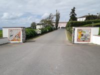 Sao Miguel - Teeplantage Gorreana