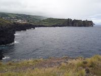 Sao MIguel - Der Elefant