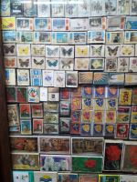 Sao Miguel - Kurioses im Museum