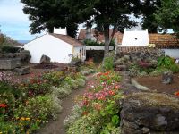 Terceira - Weinprobe in Biscoitos