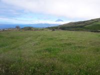 Faial - Allererster Picoblick