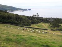 Pico - Blick auf Lajes