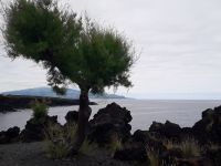 Pico - Cachorro Blick zur Insel Faial