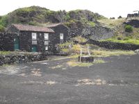 Pico - Cachorro Typisches Steinhaus