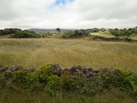 Pico - Im Inselinnern