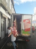 Faial - Horta Schweinearbeit