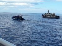 Sao Miguel - Touristischer Walfang heute