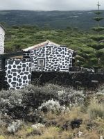 Im Weinbaugebiet Pico