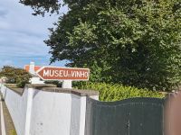 Weinmuseum und Weinanbau auf den Azoren @ Anette Rietz EHT