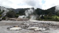Die dampfende Gegend um den Lagoa das Furnas