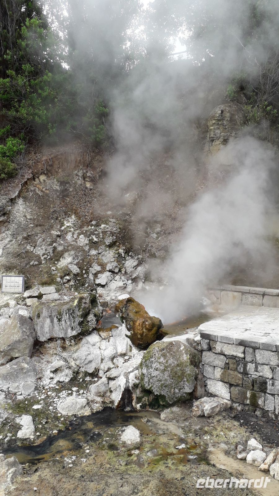 Überall zischt es...