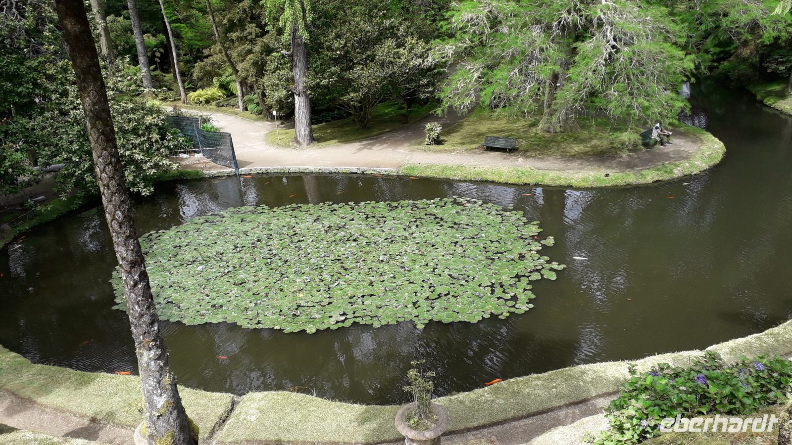 Wunderschöne Wasserlandschaft in der Parkanlage