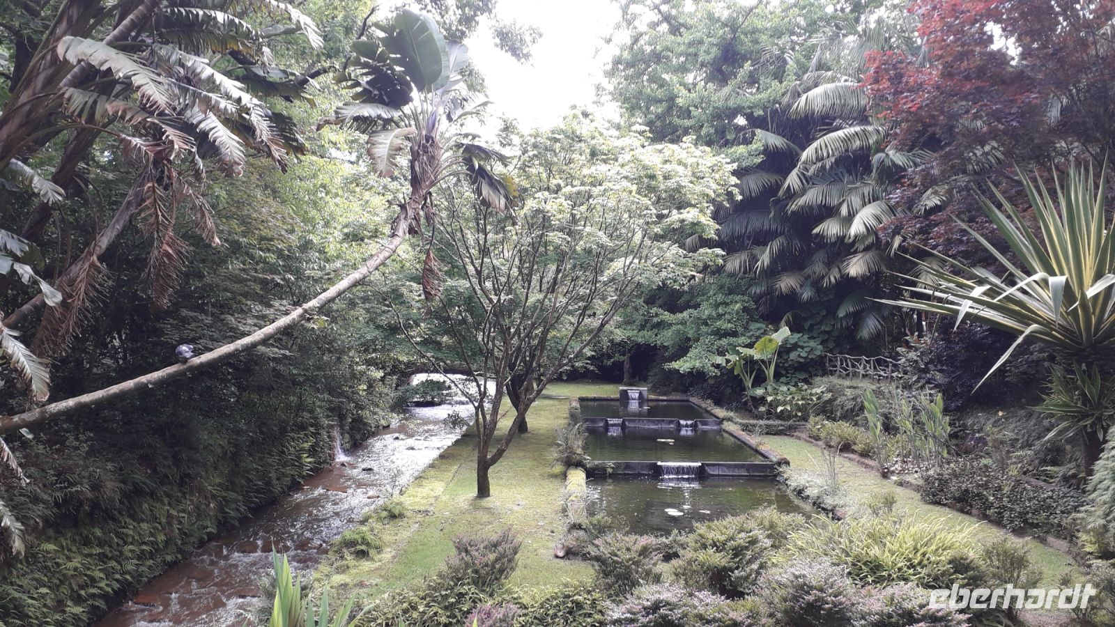 Üppige Vegetation im Park