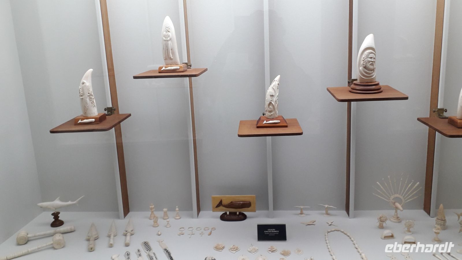 Geschnitze Pottwalzähne