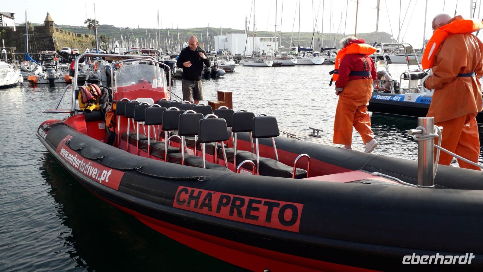 Unsere Walbeobachtungstour beginnt