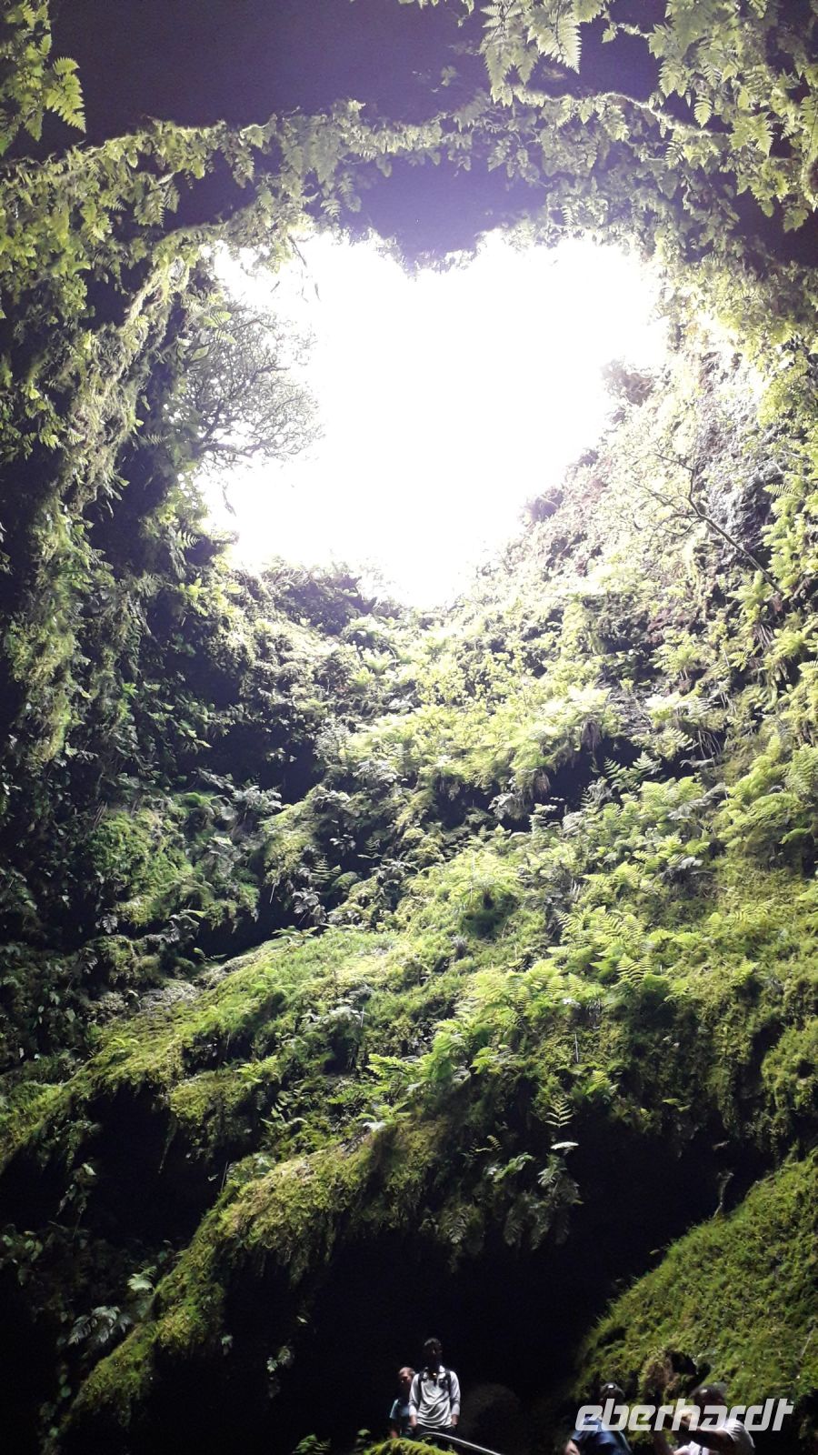 Im Inneren des erloschenen Vulkans Algar do Carvao