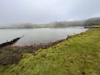 ...am Kapitänssee (2)