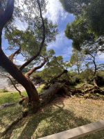 Caldeira das Furnas (2)