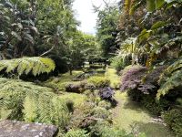 Parque Terra Nostra (2)