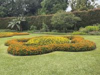 Parque Terra Nostra (5)