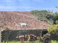 ...in der Teefabrik (2)