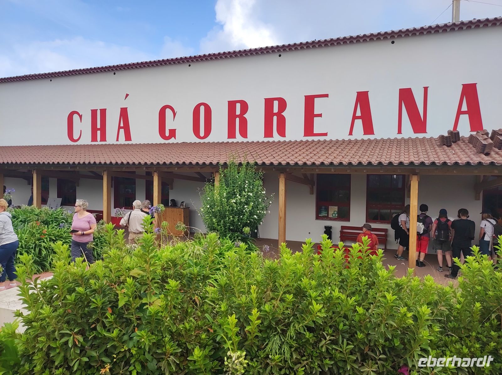 einzigste Teeplantage in ganz Europa auf Sao Miguel, Portugal