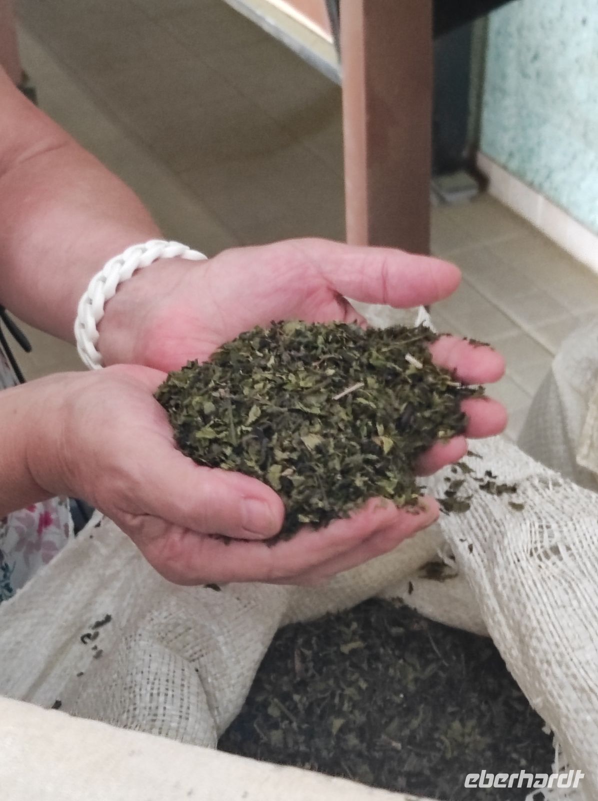 In den Verarbeitungsräumen der Teeplantage auf Sao Miguel, Portugal